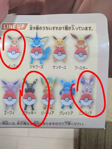 제일복권 포켓몬 컬렉션 F상 이브이 블래키 니피아