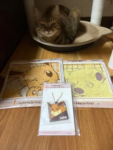 포켓몬 제일복권 G상 이브이 참 & I상 피카츄 이브이 핸드 타월