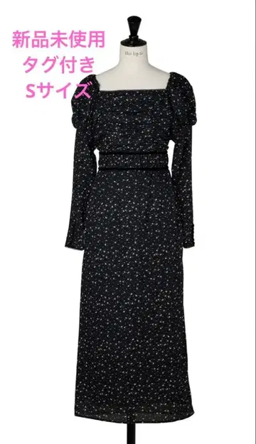 HLT 카푸신 블룸 슬리브 시폰 드레스