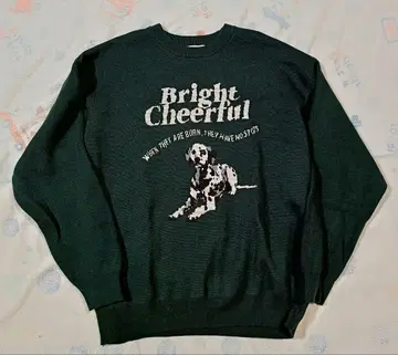 니코앤드 애니멀 더블 자카드 니트 풀오버 M 그린