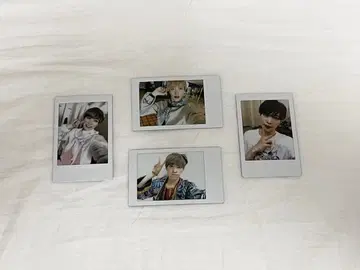 팬더드래곤 파라곤 타이거 폴라로이드