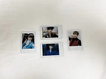 팬더드래곤 파라곤 타이거 폴라로이드