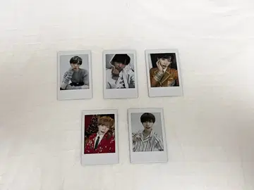 팬더 드래곤 파라곤 타이거 폴라로이드