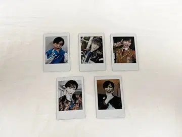 팬더드래곤 파라곤 타이거 폴라로이드