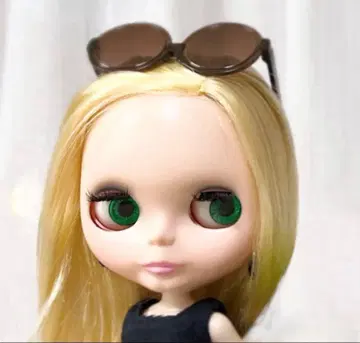 브라이스 커스텀