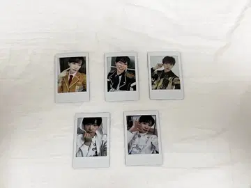 팬더드래곤 파라곤 타이거 폴라로이드