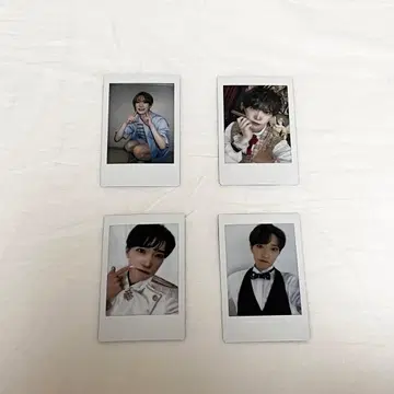 팬더드래곤 파라곤 타이거 폴라로이드