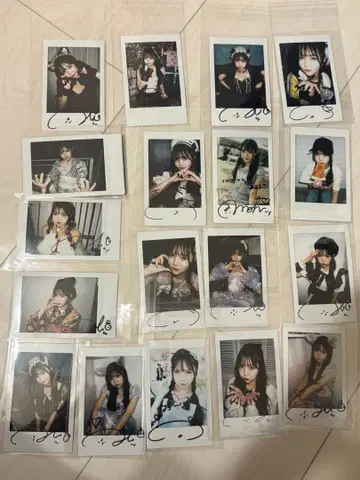 Jams Collection 츠시로 미즈키 폴라로이드