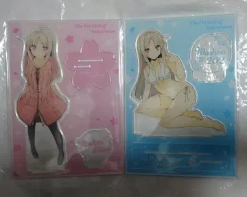 사쿠라장의 애완그녀 시이나 마시로 아크릴 스탠드 2종 세트