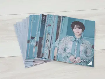 노기자카46 엽서 네이블 오렌지 묶음 판매 약 31장