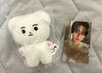 성훈 봉제 인형 마스터 트레이딩 카드 Enhypen