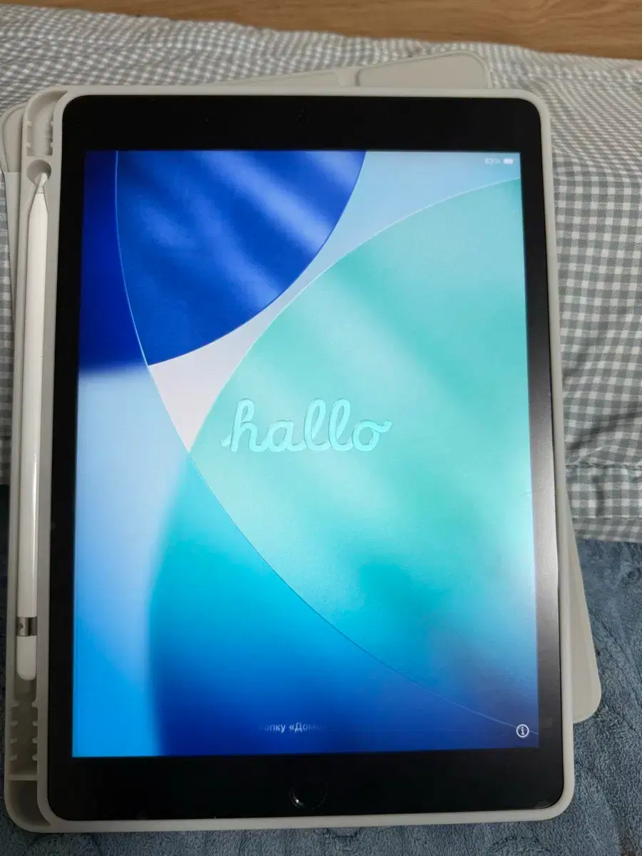 iPad 9th Gen 256GB + Apple Pencil