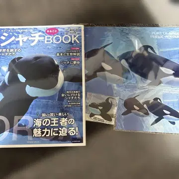 나고야항 수족관 범고래 파일 엽서 마그넷 범고래 통째로 BOOK