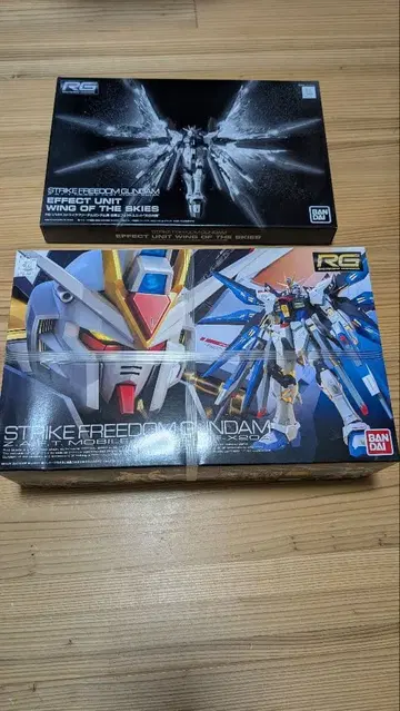RG 스트라이크 프리덤 건담 & 천공의 날개 확장 유닛 세트