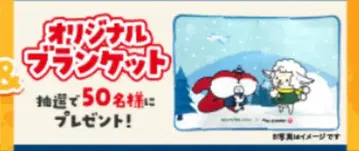 호텔 루트인 담요 JAL