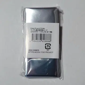 FGO 최종 재림전 편성 화면풍 카드