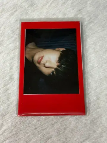 THE SUPER FRUIT 스파풀 오다 이신 폴라로이드