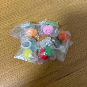 과일 씨앗 액세서리