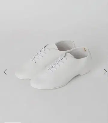 새상품급 repetto JAZZ 재즈 신발 화이트 39