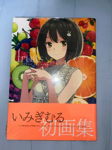 이미기무루 ART WORKS fruits 화집 슈링크 포함 새상품 미개봉