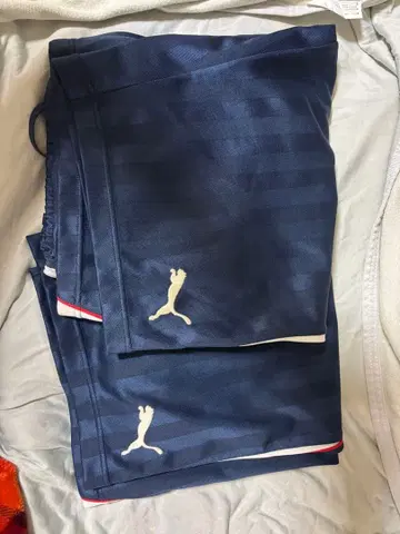 세토우치 고등학교 저지 하프 팬츠 1개