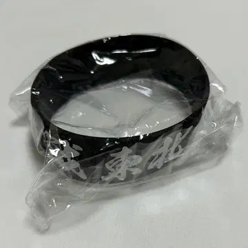 도호쿠 라이브 하우스 대작전 러버 밴드