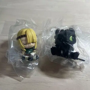 어깨 쿵 Fig. 히크와 드래곤 투스, 아스티