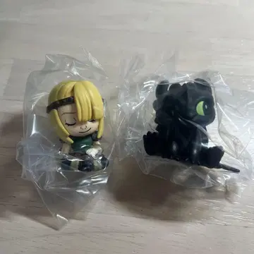 어깨 쿵 Fig. 드래곤 투스, 아스티