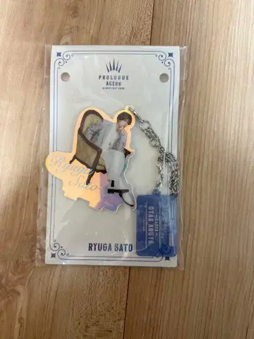 사토 류가 아크릴 키링 ACEes