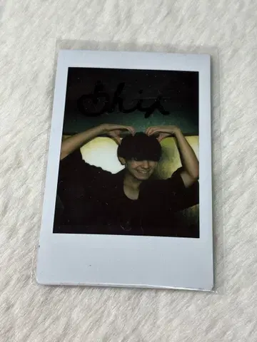 더 슈퍼 프룻 스파후루 오다 이신 폴라로이드