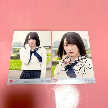 =LOVE 이코라브 노구치 이오리 친필 세미 컴프