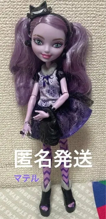 익명 배송 에버 애프터 하이 마텔 옷 갈아입기 인형 고양이