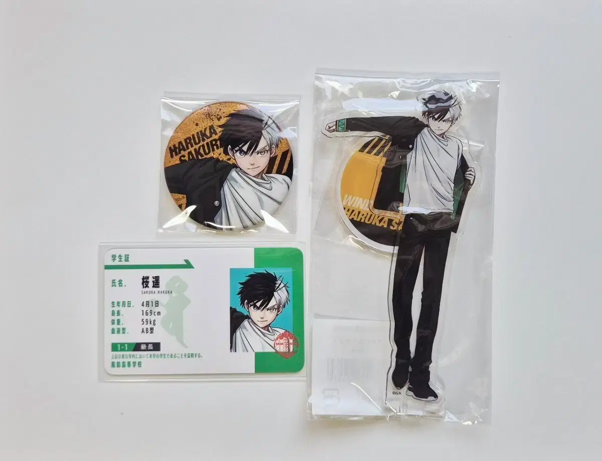 Wind Breaker Original Art Exhibition Winbrejeon Sakura Original Art Exhibition Acrylic Stand Glitter Can Badge