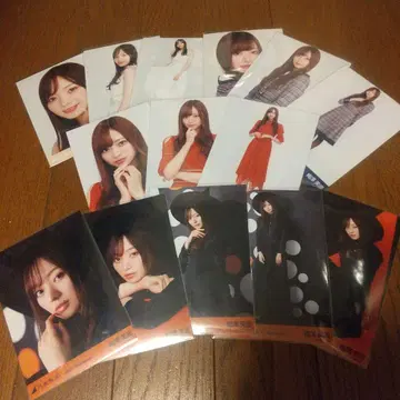 노기자카46 우메자와 미나미 생사진