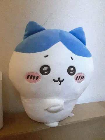 치이카와 (먼작귀) 하치와레 봉제 인형