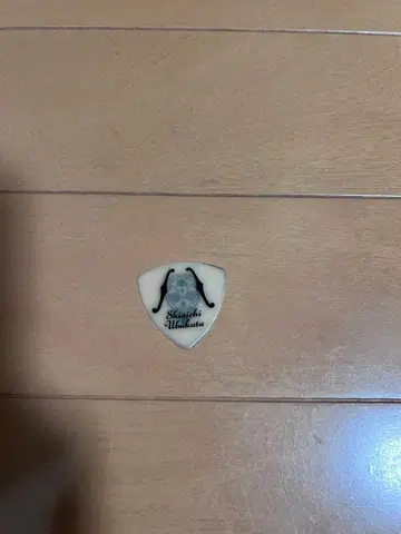 ELLEGARDEN Nothing's 우부카타 신이치 피크