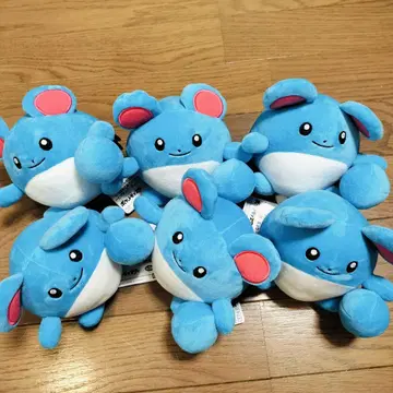 포켓몬 꼬리 봐봐! 봉제 인형 마릴 모음