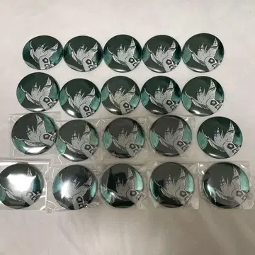 이토시 린 블루 록 전시회 캔뱃지 34개