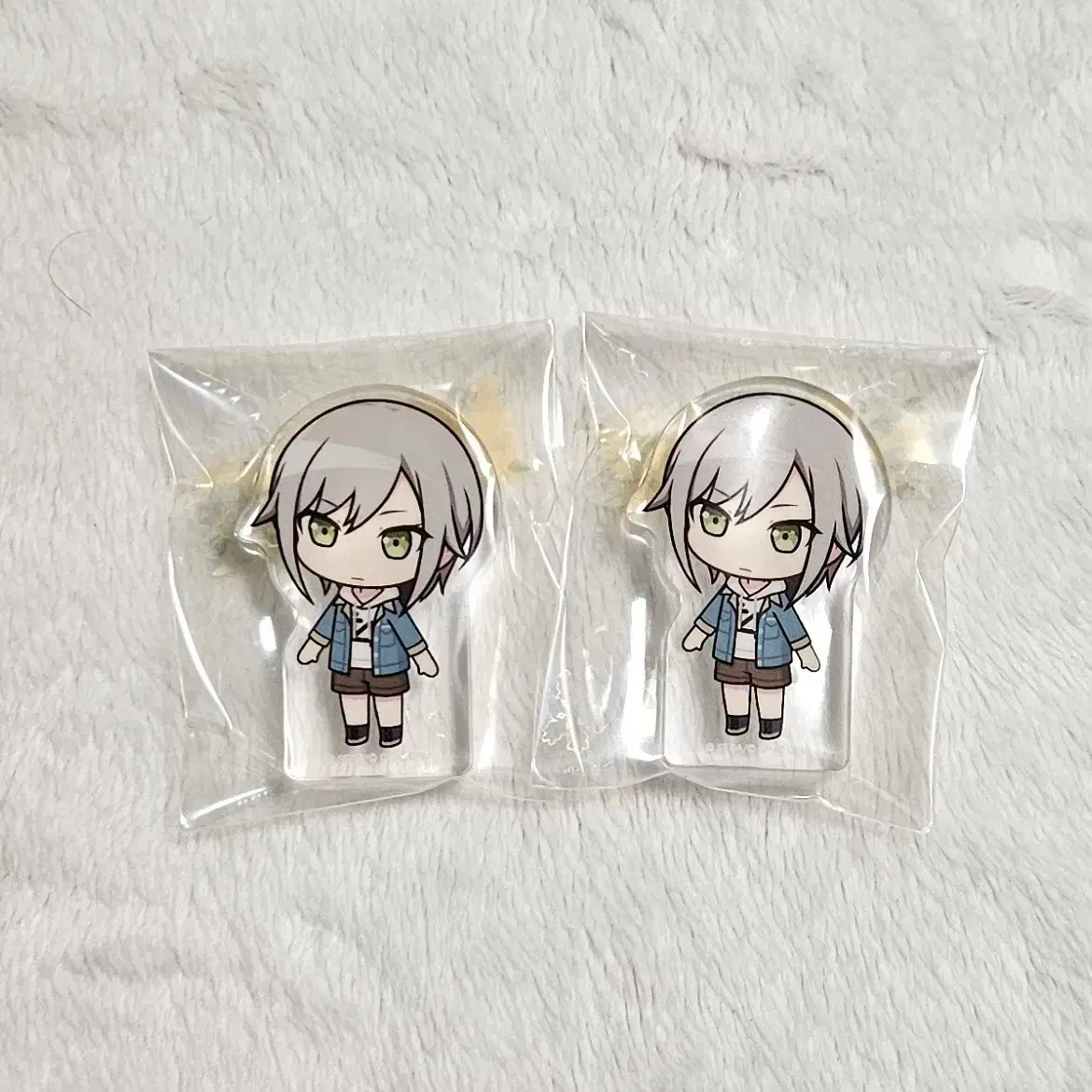 Paseka Proseka Leo/need Hinomori Shiho official goods Corotto bulk sell