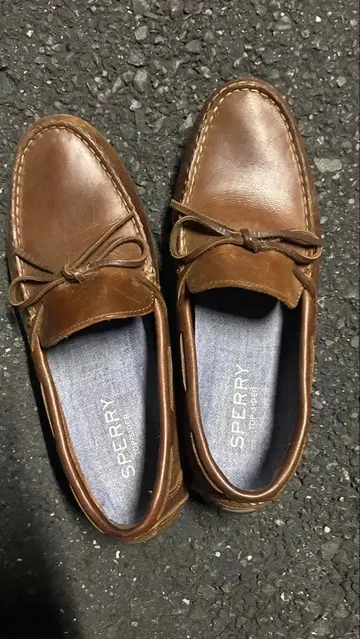 Sperry 브라운 모카신