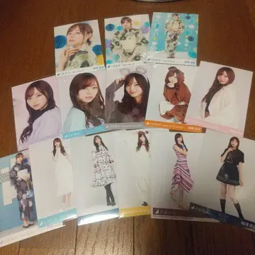 우메자와 미나미 브로마이드