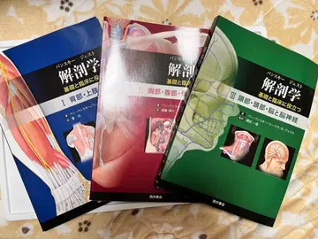 해부학 전 3권 세트 반데미에스트 제스티스