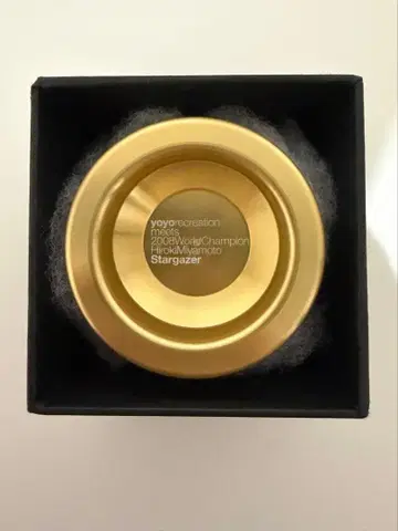 요요 스타게이저