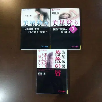 미성사냥 3권 세트 기라빛 프랑스 쇼인 문고