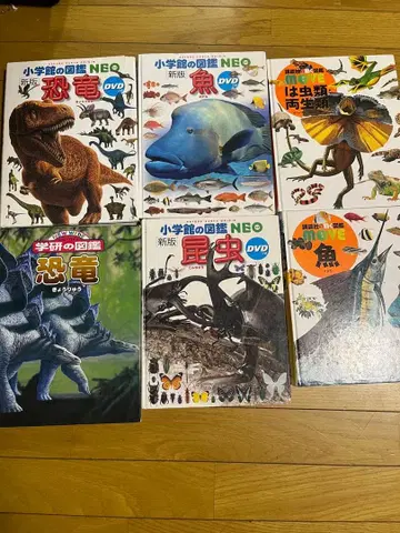 초등학생 도감 NEO 공룡 물고기 곤충 DVD 없음