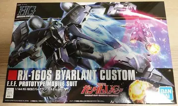 HG 바이아란 커스텀