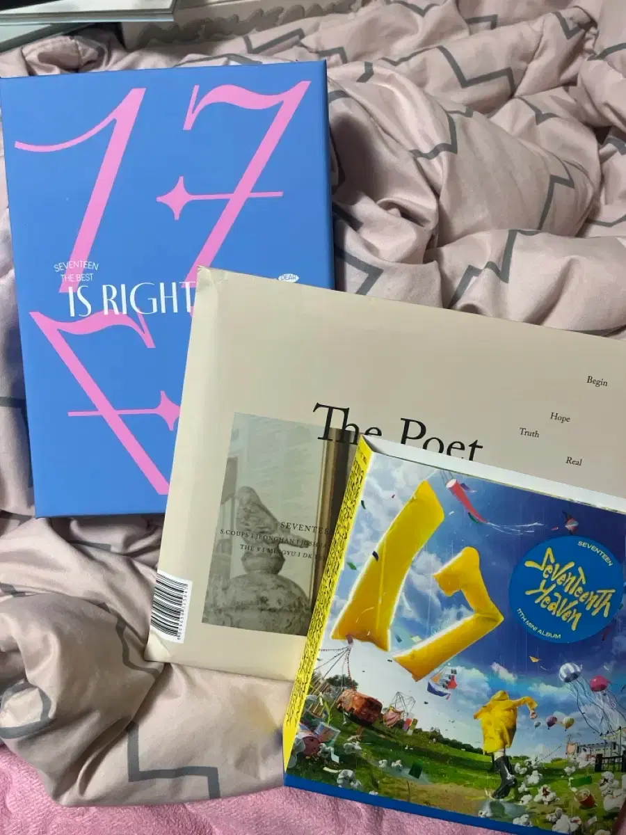 Seventeen albums and merchandise, bulk disposal