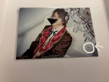 사쿠라 브로마이드 러브시크