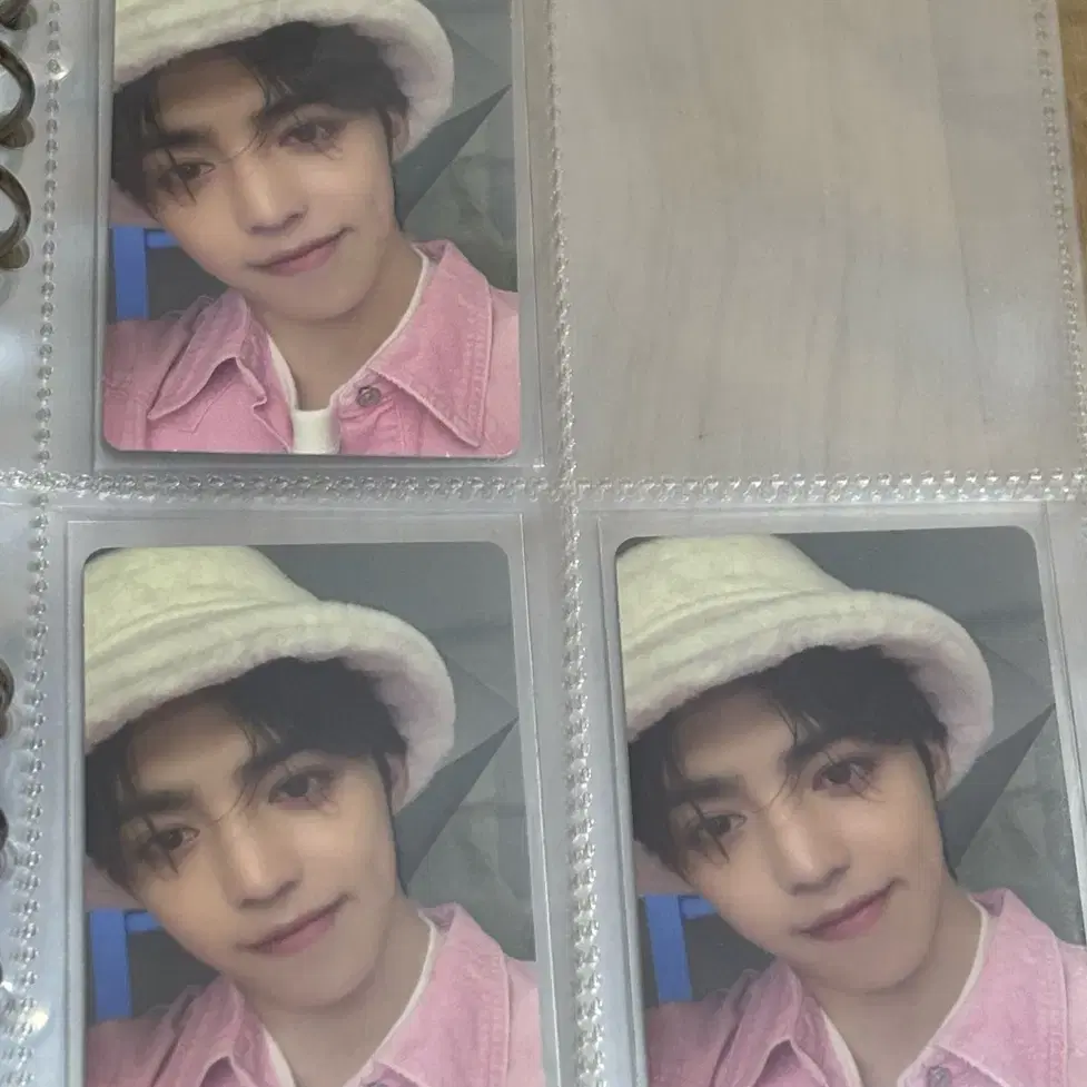 Seventeen Caratland s.coups