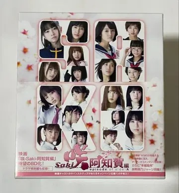 영화 사키-Saki- 아치가편 episode of side-A